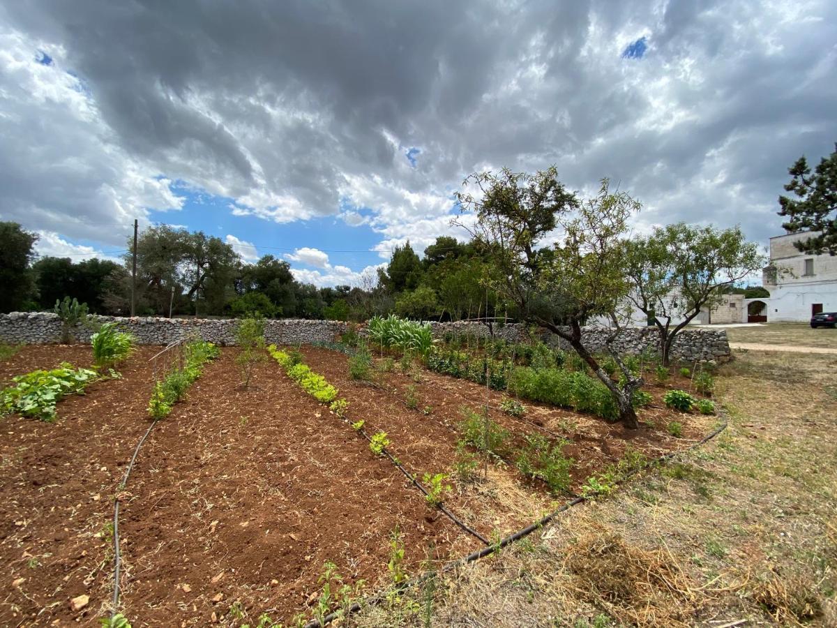 Apartamento Masseria Cervellera Ceglie Messapica Exterior foto